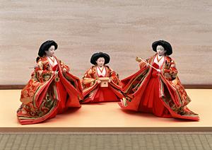 ガチャガチャの森:多彩なラインナップと高品質な体験を提供する専門店